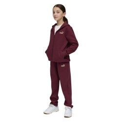 Puma Metallic Hooded Sweat Suit FL G (689729 96)