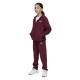 Puma Metallic Hooded Sweat Suit FL G (689729 96)