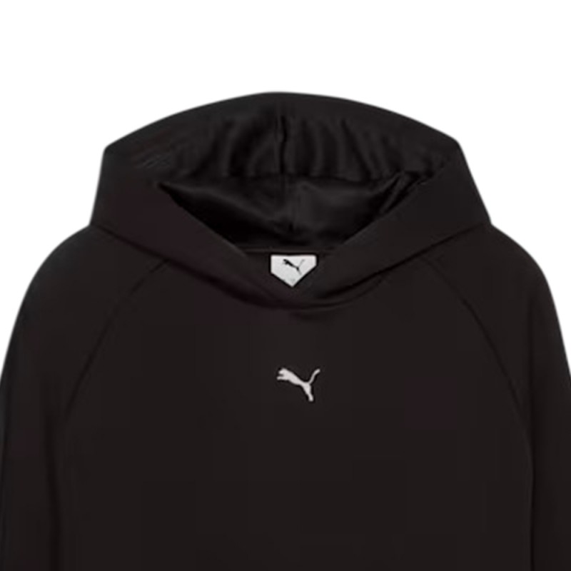 Puma ESS ELEVATED Satin Hoodie FL (690341 01)