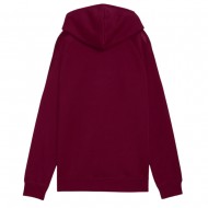 Puma ESS ELEVATED Satin Hoodie FL (690341 96)