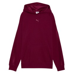 Puma ESS ELEVATED Satin Hoodie FL (690341 96)