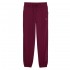 Puma ESS ELEVATED Satin Sweatpants FL (690343 96)
