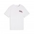 Puma ESS NATURE 2.0 Relaxed Graphic Tee G (692470 02)