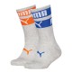 Puma KIDS LOGO STRIPES SOCK 2P (701225803 002)