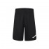 Nike JDB JUMPMAN WRAP MESH SHORT (957371-023)