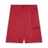 Nike JDB MJ BASELINE MESH SHORT (95D667-R78)