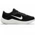 Nike Winflo 10 Men's Road (DV4022-003)