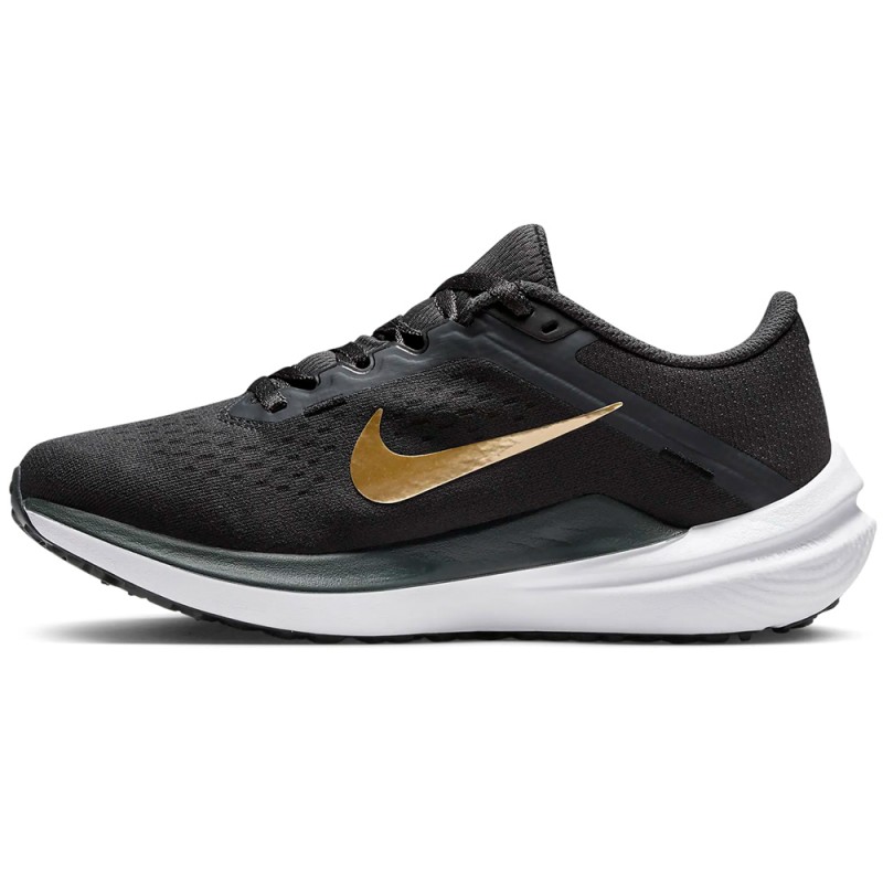 Nike Winflo 10 Γυναικεία Παπούτσια για Τρέξιμο (DV4023-005)