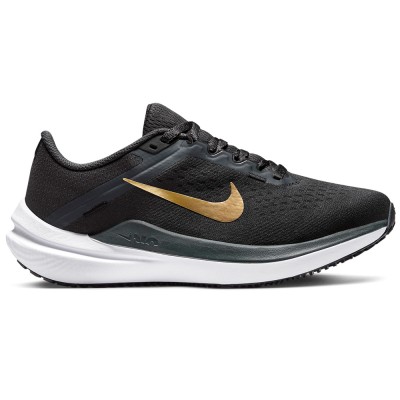 Nike Winflo 10 Γυναικεία Παπούτσια για Τρέξιμο (DV4023-005)