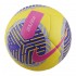 Nike PITCH SOCCER BALL (FB2978-710)