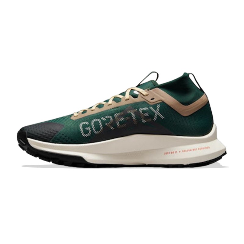 Nike Pegasus Trail 4 GORE-TEX (FD0317-333)