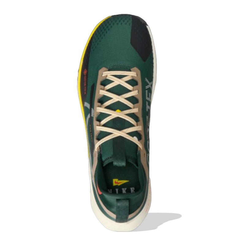 Nike Pegasus Trail 4 GORE-TEX (FD0317-333)