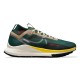 Nike Pegasus Trail 4 GORE-TEX (FD0317-333)