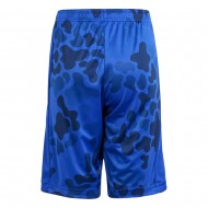 Adidas J TR-ES AOP SH (IR7525)