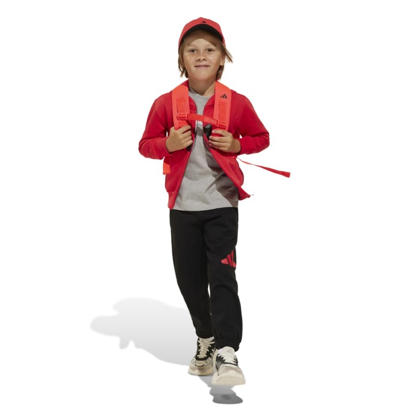 Adidas LK BL FL FZ TS (JC9730)