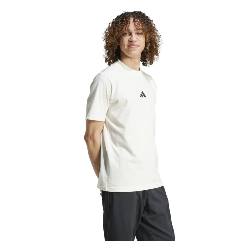 Adidas M CE TEE GD (JF3327)