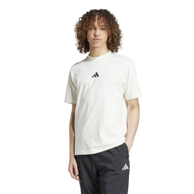 Adidas M CE TEE GD (JF3327)