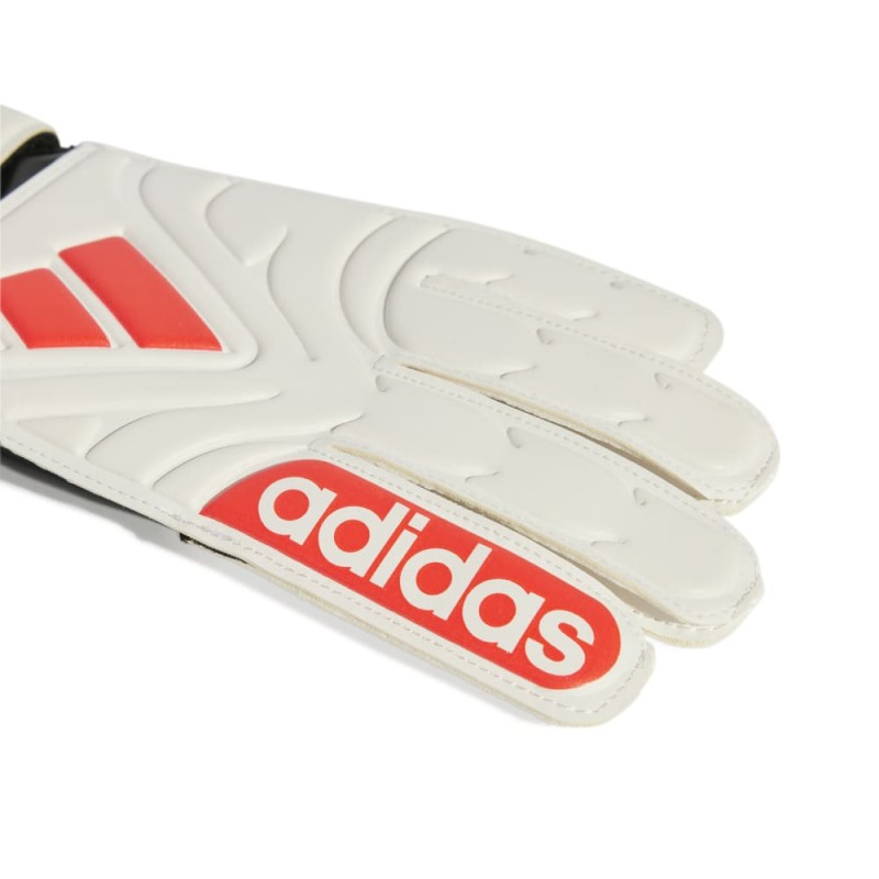 Adidas COPA GL CLB J (JH3792)