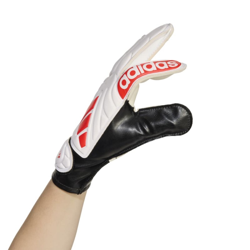 Adidas COPA GL CLB J (JH3792)