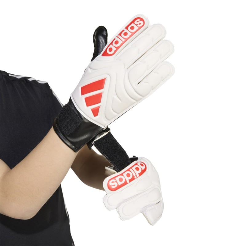 Adidas COPA GL CLB J (JH3792)