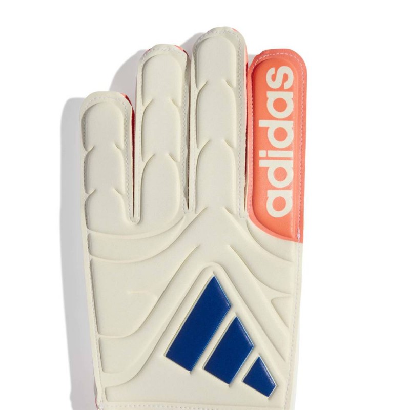 Adida COPA GL CLB J (JN5342)