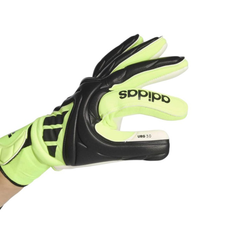 Adidas COPA GL LGE (JN5344)