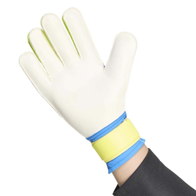 Adidas Predator Training Goalkeeper Glove (KA7786)