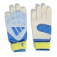 Adidas Predator Training Goalkeeper Glove (KA7786)