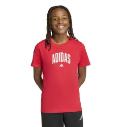 Adidas COLLEGIATE GRAPHIC T-SHIRT JUNIOR (KE1335)