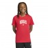 Adidas COLLEGIATE GRAPHIC T-SHIRT JUNIOR (KE1335)