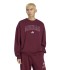 Adidas Seasonal Essentials Collegiate Fleece Crew Sweatshirt (KR0310)