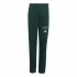 Adidas Seasonals Collegiate Typography Pants Junior (KS5129)