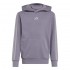 Adidas ESSENTIALS HOODIE (KT3383)