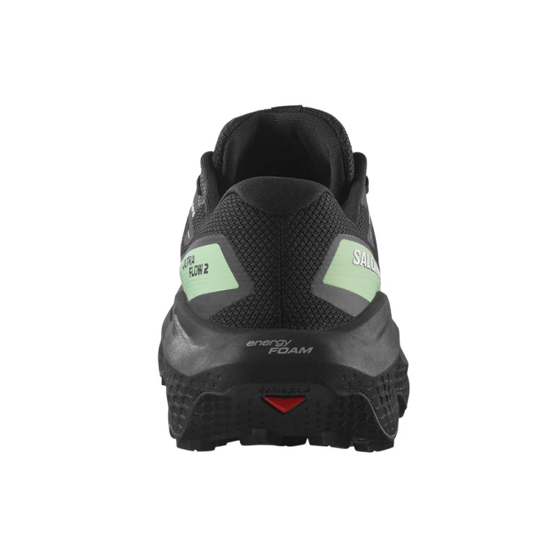 Salomon TRAIL RUNNING - ULTRA ULTRA FLOW 2 GTX (L47981400)