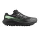 Salomon TRAIL RUNNING - ULTRA ULTRA FLOW 2 GTX (L47981400)