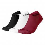 Nike Jordan Everyday Max (SX5546-011)